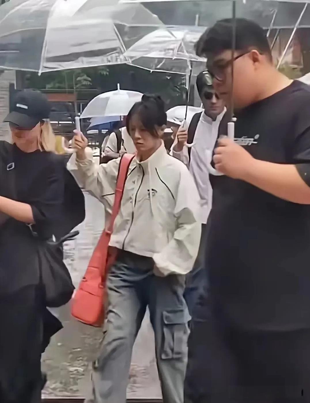 不要再猜了，二饼力哥现阶段不演奏《楚玉》的原因，既不完全是直播间不适合拉，也不是