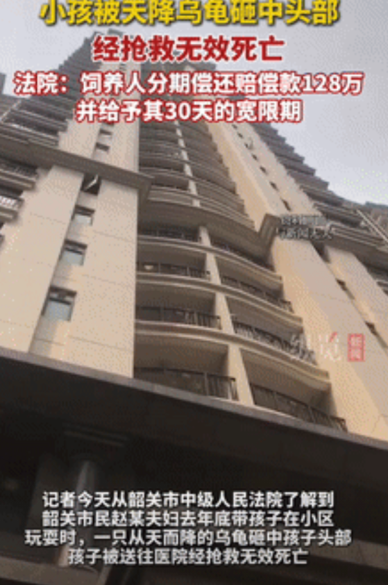 “这下长记性了！”广东韶关，一夫妻带着孩子在小区楼下玩耍时，突然有只乌龟从天而降