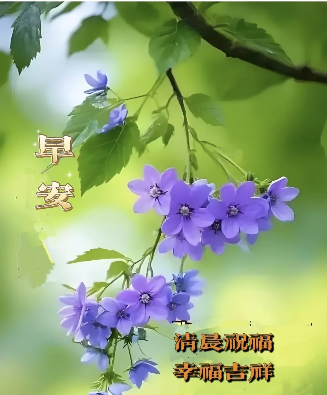#分享早安祝福语# 
[玫瑰][微风][玫瑰]
晨起，有人祝福，方得一天快乐，日