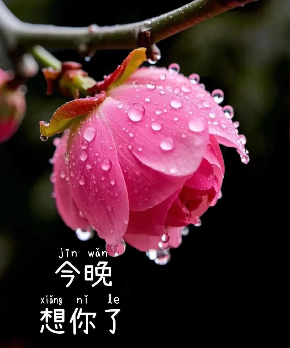 想你了
有多寂静
思念就有多绵长
我就这样躺在床上
痴痴的念你
深深的想你
闭上