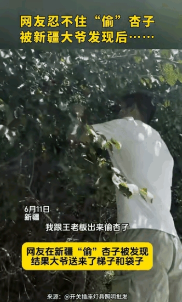笑岔气了！男子去新疆旅游，偷吃大爷家杏子，不料，被大爷发现，本以为大爷会骂人，没