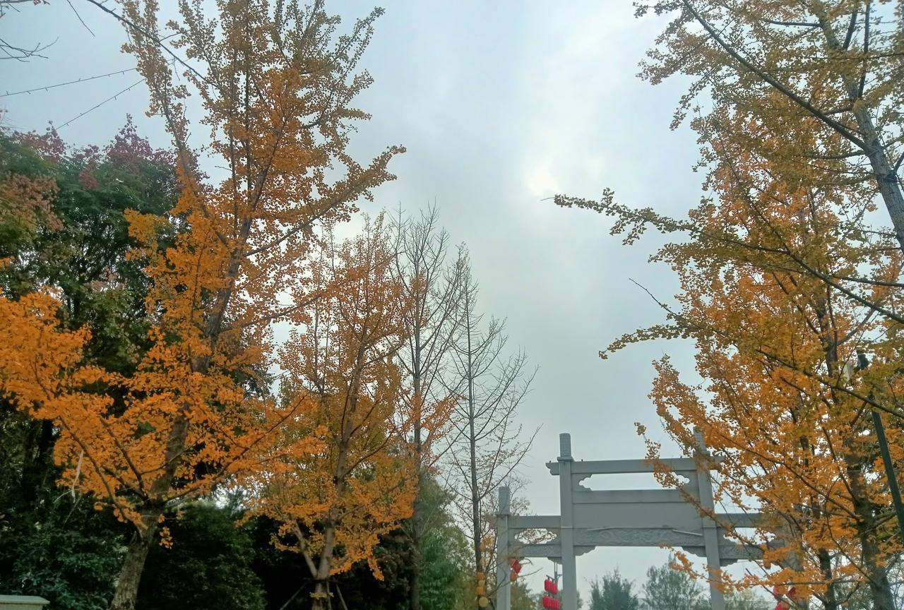 #冬日生活随拍#老街，老人，寺庙，牌坊，黄叶，灯笼，还有封神传说！