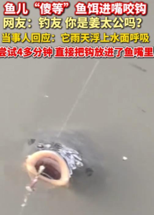 “这就是命啊！”6月19日，河南郑州，一男子在桥下钓鱼，随手将鱼竿放进水中，谁料