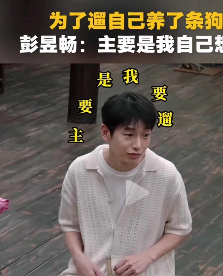 彭昱畅告诉你养狗到底是为了啥？
彭昱畅的回答得到了很多网友的支持。原来彭昱畅养狗