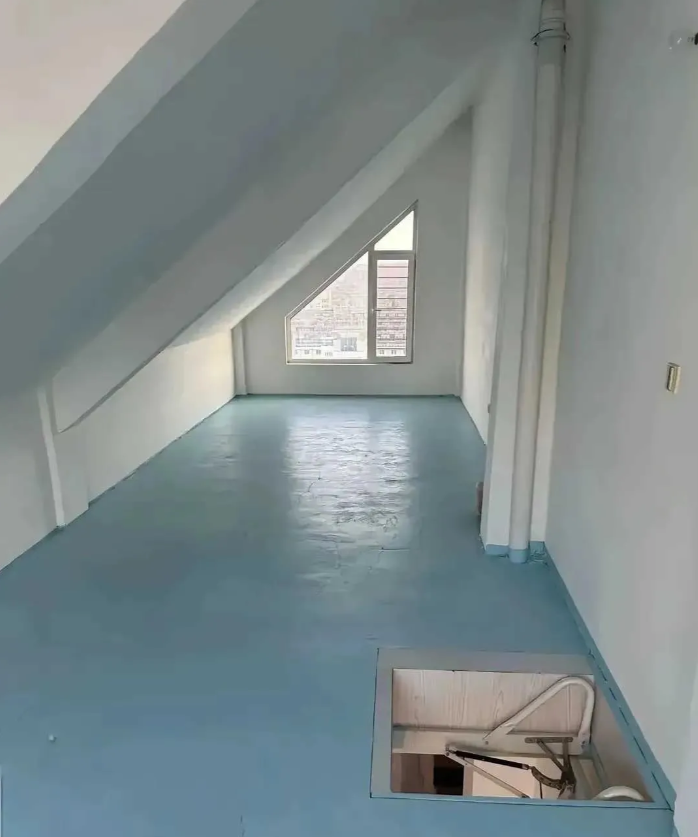 多花5万买的阁楼 爽死了