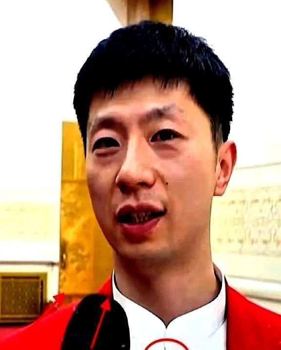 当功勋老帅的影子还没从训练馆墙上剥落
新扎师兄们已经踩着西瓜条脸滤镜开太大的人字