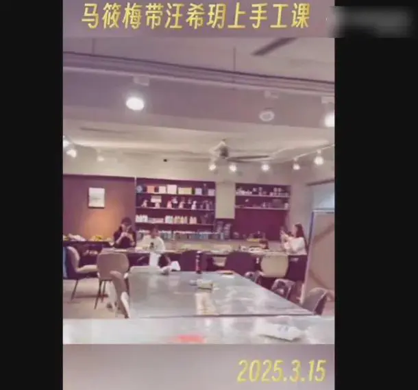 s妈不让两个孩子参加大s的葬礼？