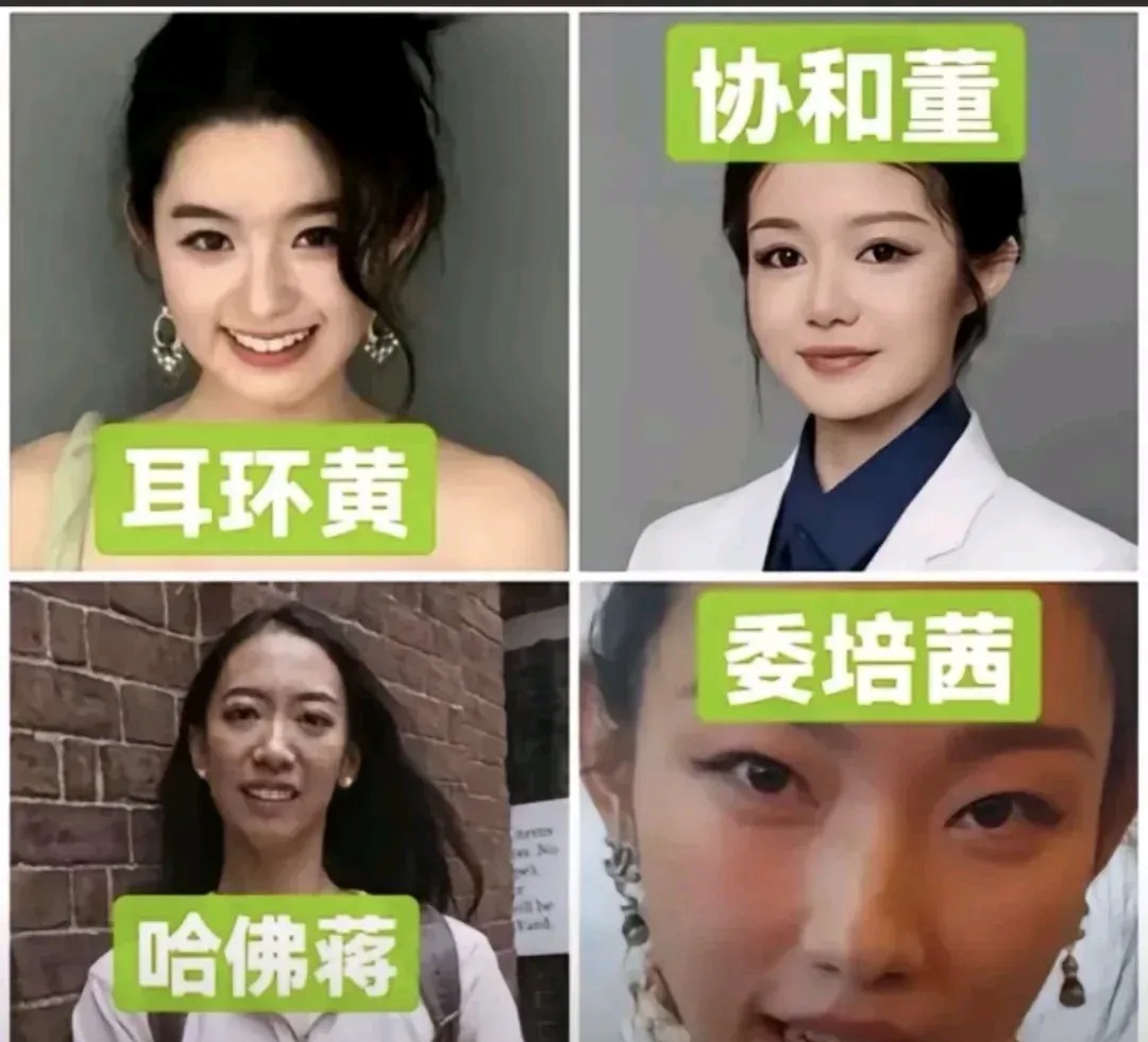 协和董没下文了吗？
那尔那茜自爆这件事
最难受的应该是黄杨钿甜icon了吧
不