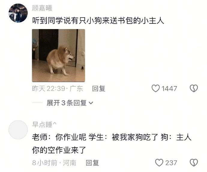 主人你的空作业来了