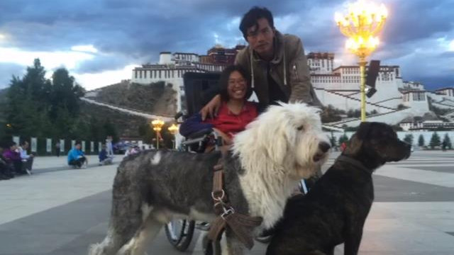 网红丁一舟爱犬阿宝去世，死因曝光疑被安乐，葬礼现场太隆重