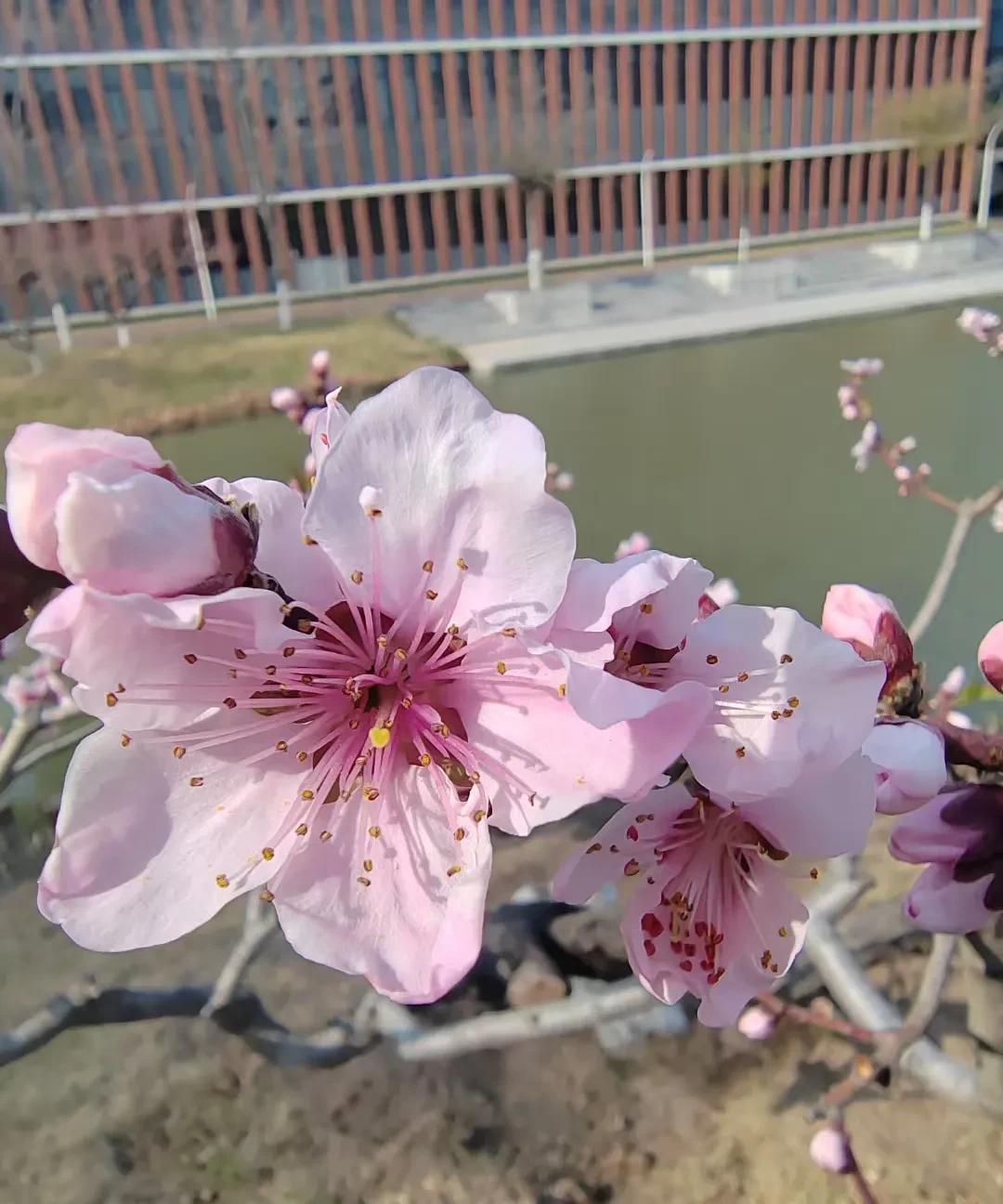 你的年龄，应该成为你生命的勋章。人生一站有一站的风景，一岁有一岁的味道。年龄本身