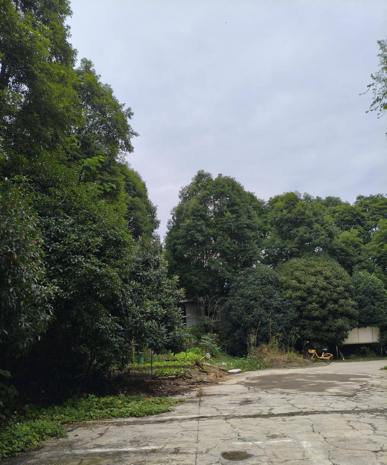 现在银行已经直接开始卖房了，叫银行直供房。银行直接卖房，能够卖得好吗？应该是价格