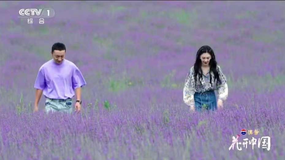 这哪是自驾游，明明是开“外挂”！