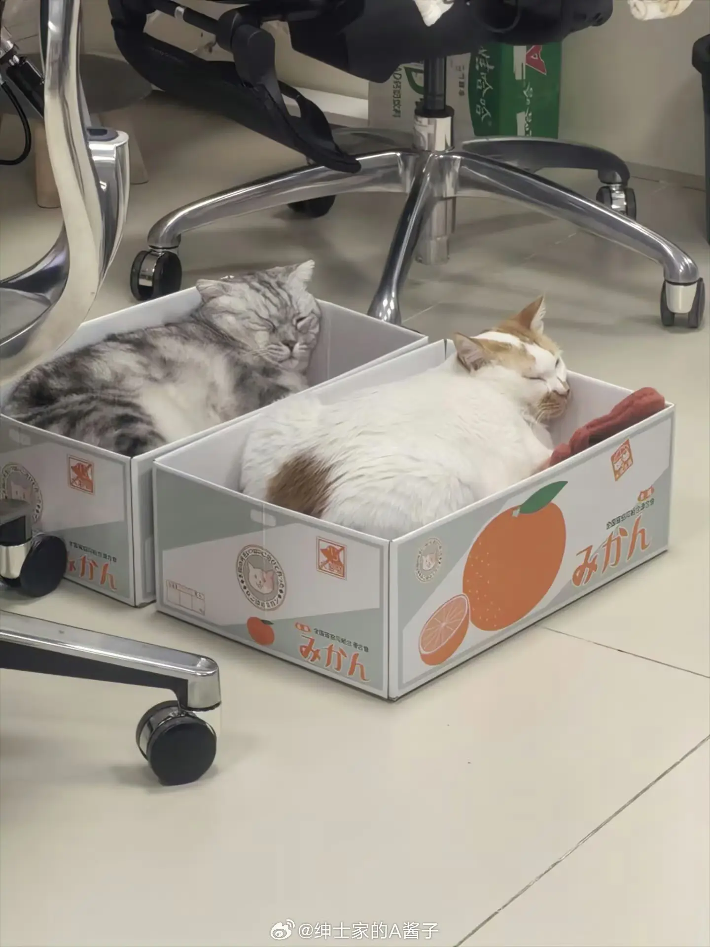 你俩一起去EVA算了
两辆猫坦克