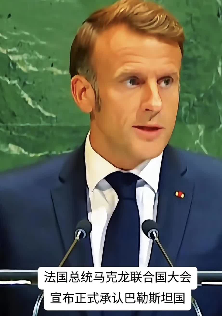 历史总是惊人的相似，德意美日不承认巴勒斯坦国，日本是受到美国胁迫，德国默茨戴黑帽