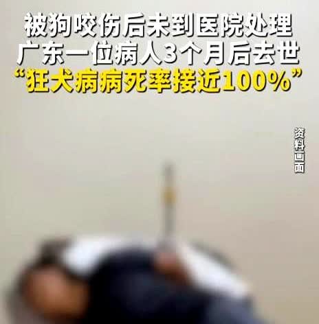 “心真大！”广东，一名男子被狗咬伤后并没有第一时间去打疫苗，结果过了5天之后，那
