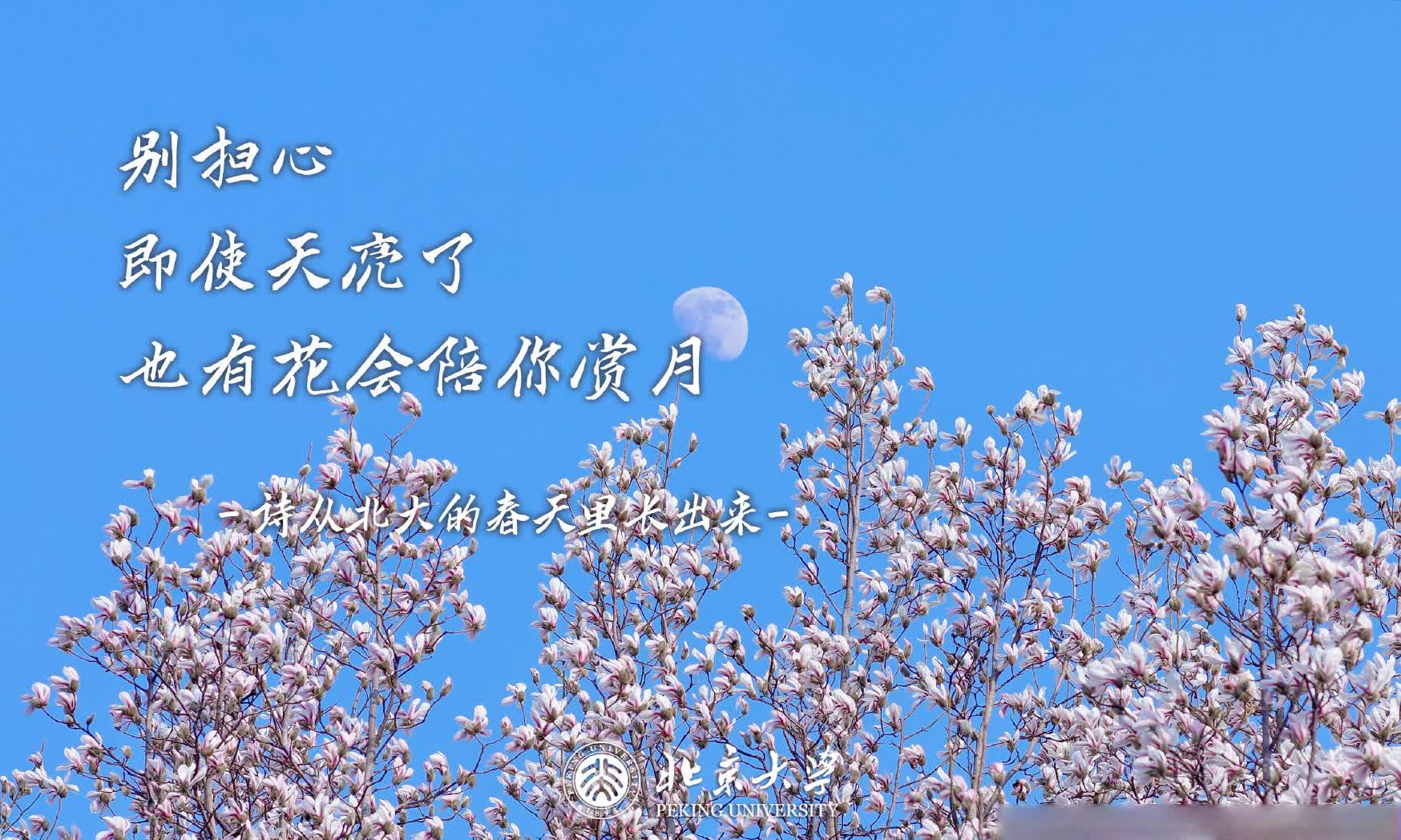 别担心，即使天亮了，也有花会陪你赏月。（拍摄：郭梦姣，小编：Qsr）
