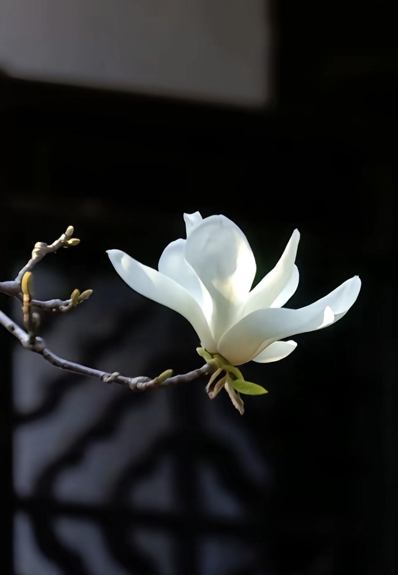 这个时代，越来越多的孩子，眼里无光。
其实，当对一些人或事，无能为力的时候，也只