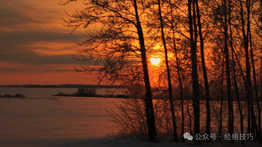 想吃牛、羊肉的先停一停！用好“健脾三根”，把“补力”接住，才能补得进去！