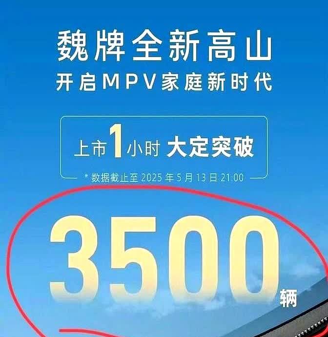 腾势D9：“我还以为你是在逗我玩，没想到你还真动真格了！”
高山：“逗你？我有
