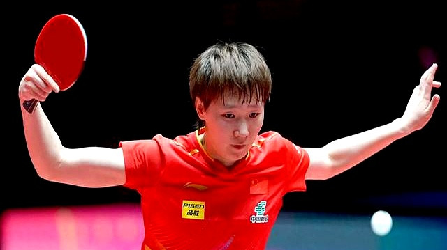 世界杯四强出炉，国乒四人会师，王曼昱出局，蒯曼战伊藤