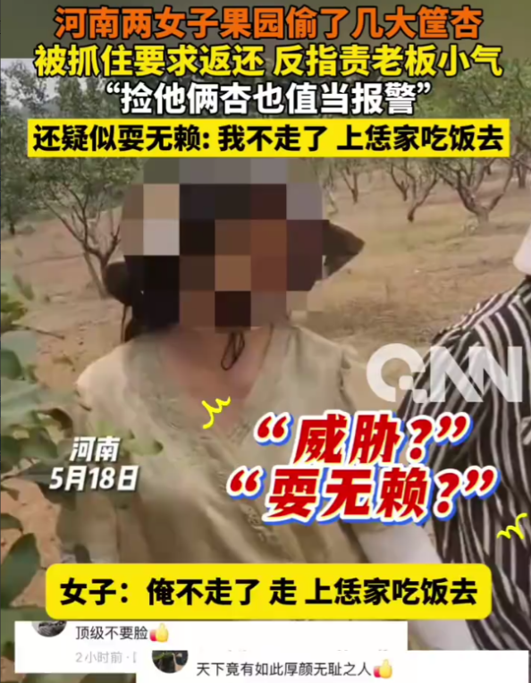 奇葩！河南，两女子在果园偷了几大筐杏被老板抓住，不料，两人不但没有歉意，反而在要