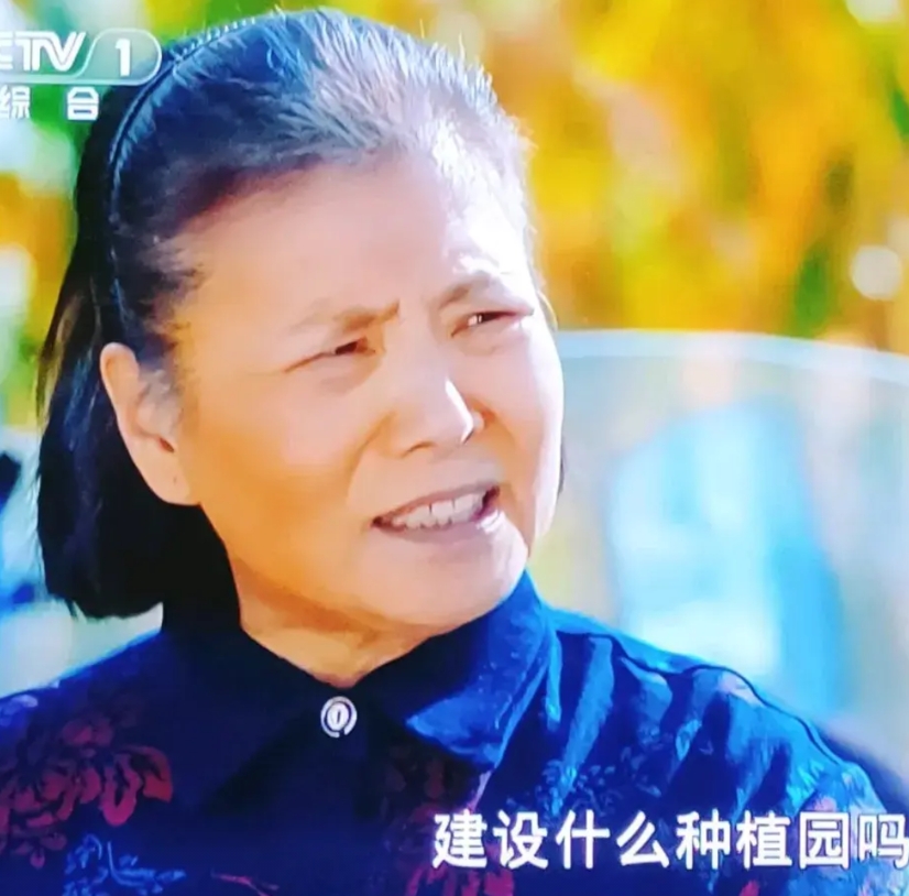 央视热播剧《青山是故乡》里，董老妈（由花菲饰演）给人留下了极为深刻的印象。她十分