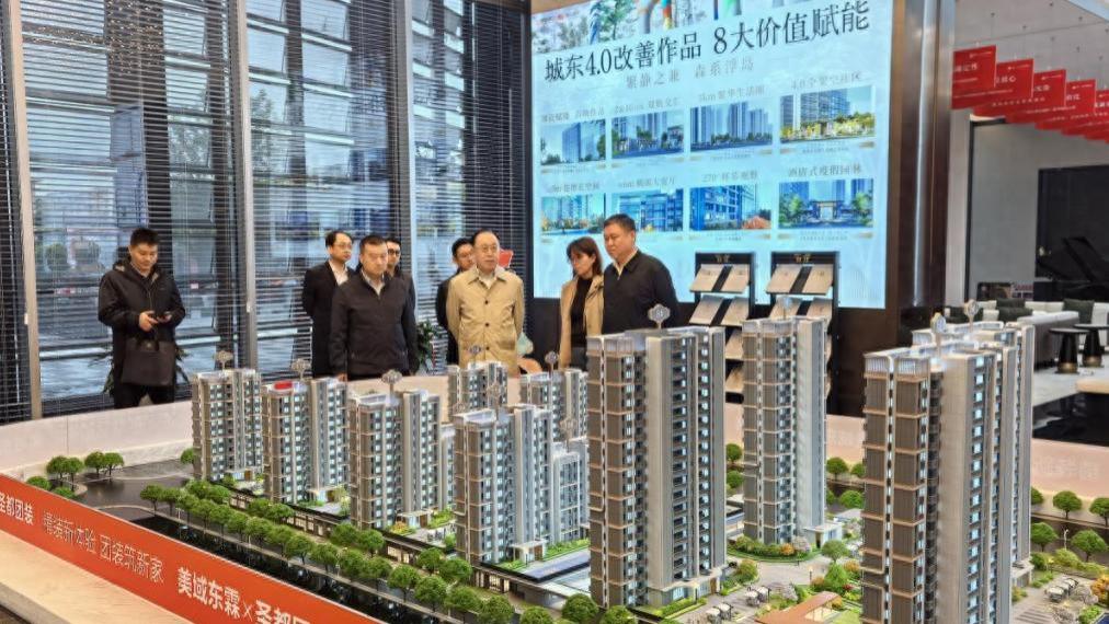 天津市国资委党委书记、主任张勇一行赴津投城开美域东霖项目调研