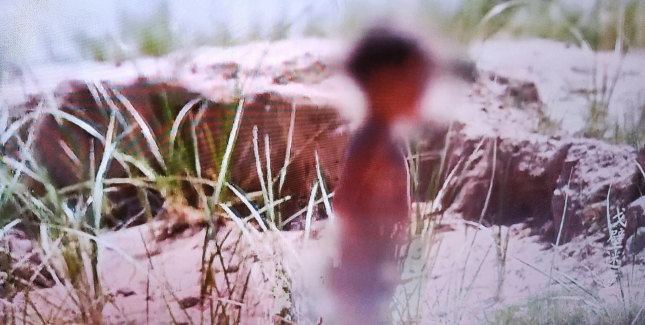 这孩子命真硬！
1岁零7个月，没穿衣服，不仅抗住了失温，也抗住了10多个小时的饥