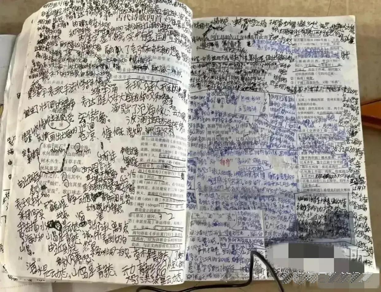 这孩子努力是很努力，就是没有读书那块料~