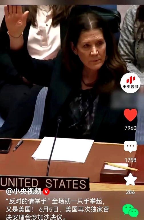 这一只手上沾满了多少鲜血？

联合国安理会关于以色列🇮🇱在巴勒斯坦加沙地区的