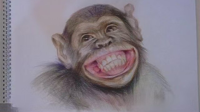 我是来看评论区的