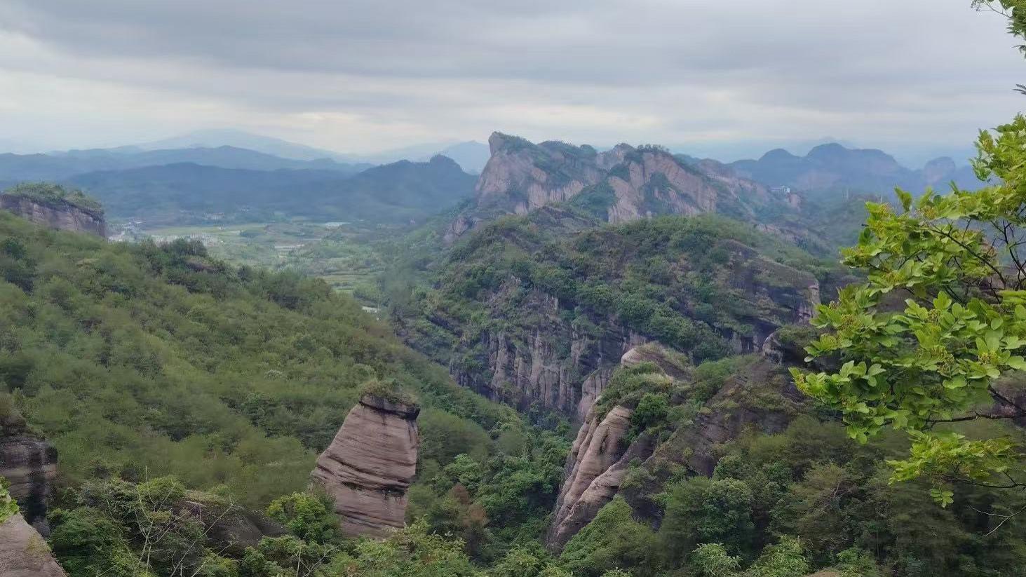 解读双色球25079期数字规律！龙头不看好02 06 08！