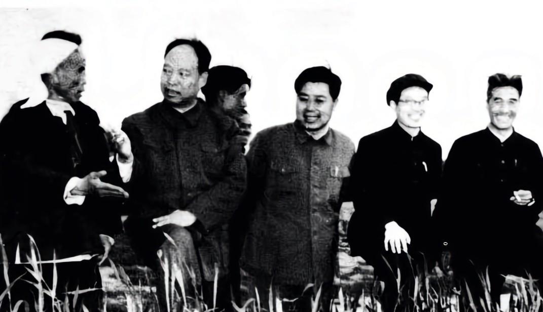 1964年4月，彭真同志第二次回乡考察期间，专程参观了曲沃县杨谈大队的小麦样板田