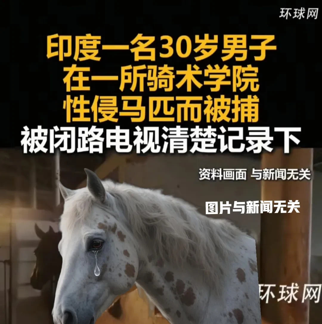 环球网替印度马发声











---











这事儿真