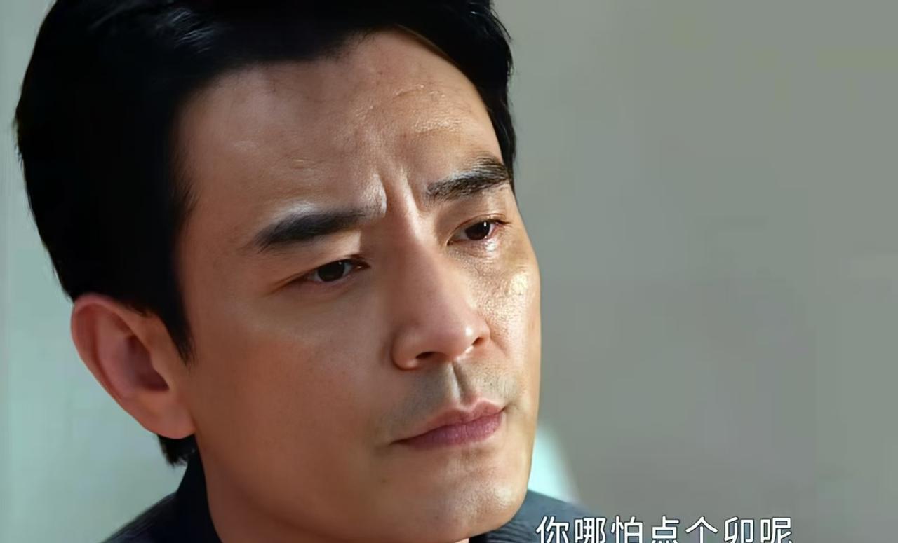 《以法之名》：不管李人骏是不是保护伞，至少有一点他做得很过分！
海东省东平市的保