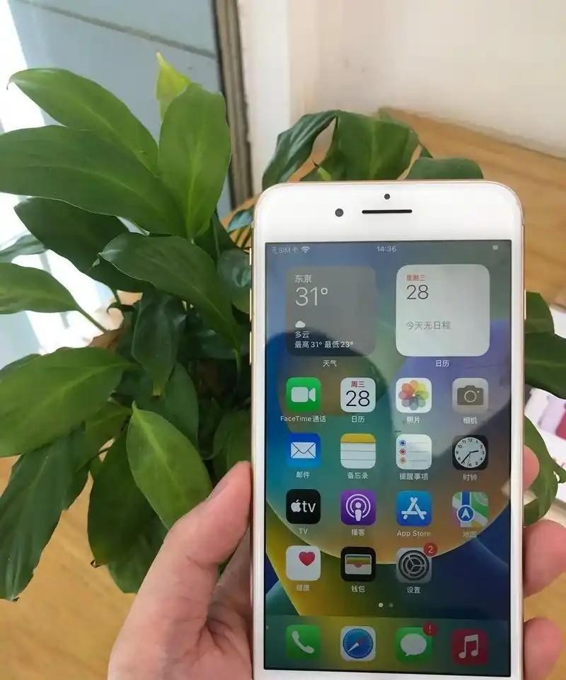 我有一位用iPhone8 Plus的朋友，还有一位朋友在用荣耀30。问他们什么时