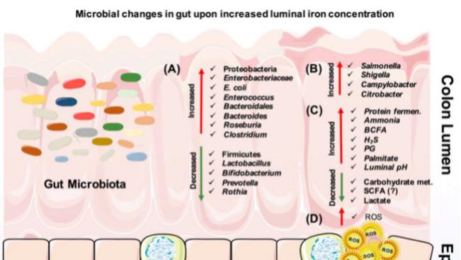 铁、锌、铜竟是“隐形抗菌战士”？科学补微量，猪群少生病！