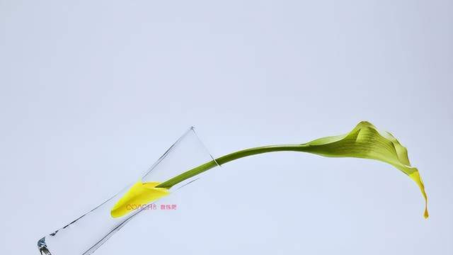 在废墟里重建自己：不被过去定义的人生，是选择出来的