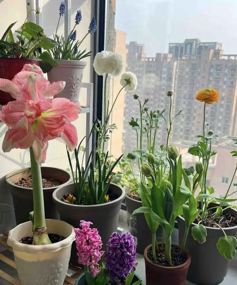 九月份开学了，
家长要告诉孩子的八句话：
第一句：不要在乎老师有没有喜欢你，只要