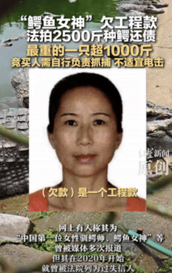 活久见！广东中山，一女子因欠工程款不给，所养殖的2500斤鳄鱼被法拍，其中有条更