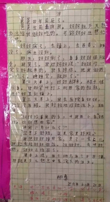 这是我读过最悲伤的小学生作文