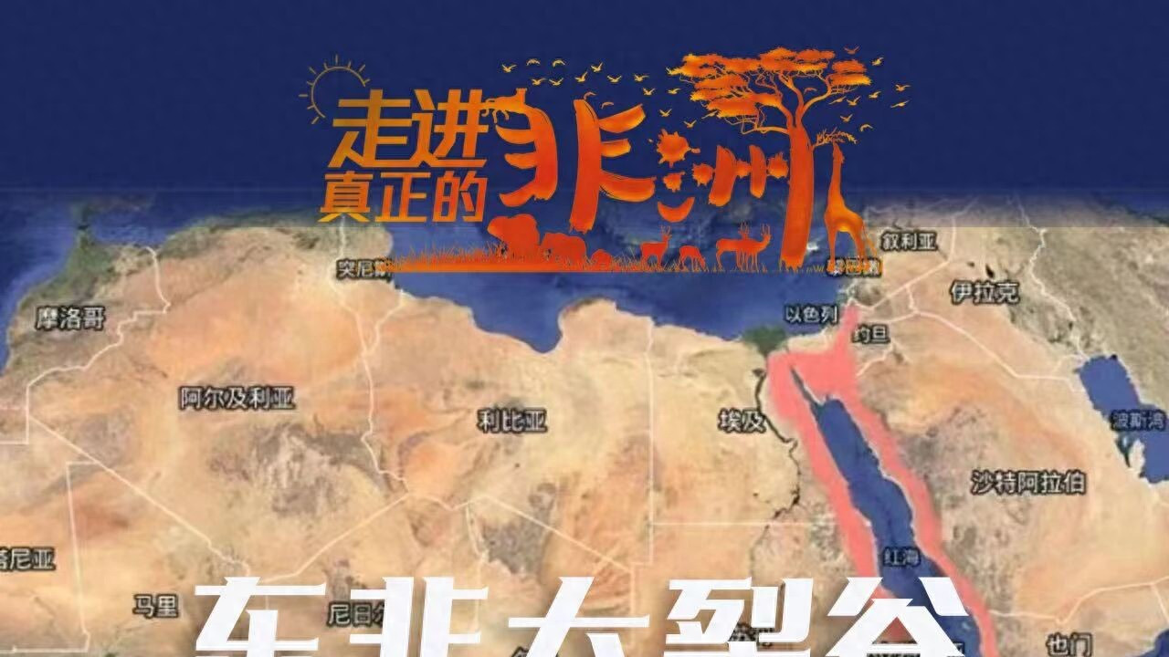 连穿五国，东非Safari！一次前所未至的旅行，人生清单再完成一项