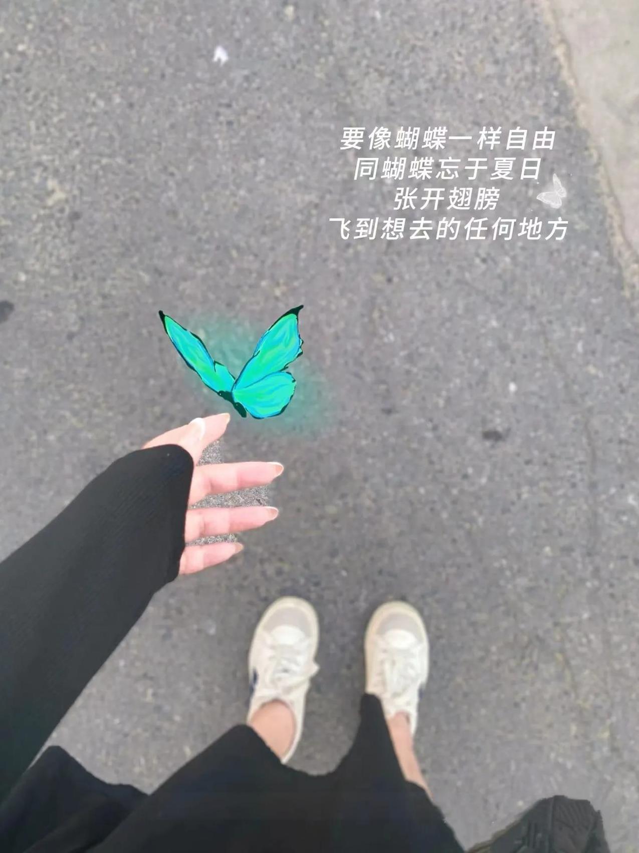 “要像蝴蝶一样自由，同蝴蝶忘于夏日，张开翅膀飞到想去的任何地方”