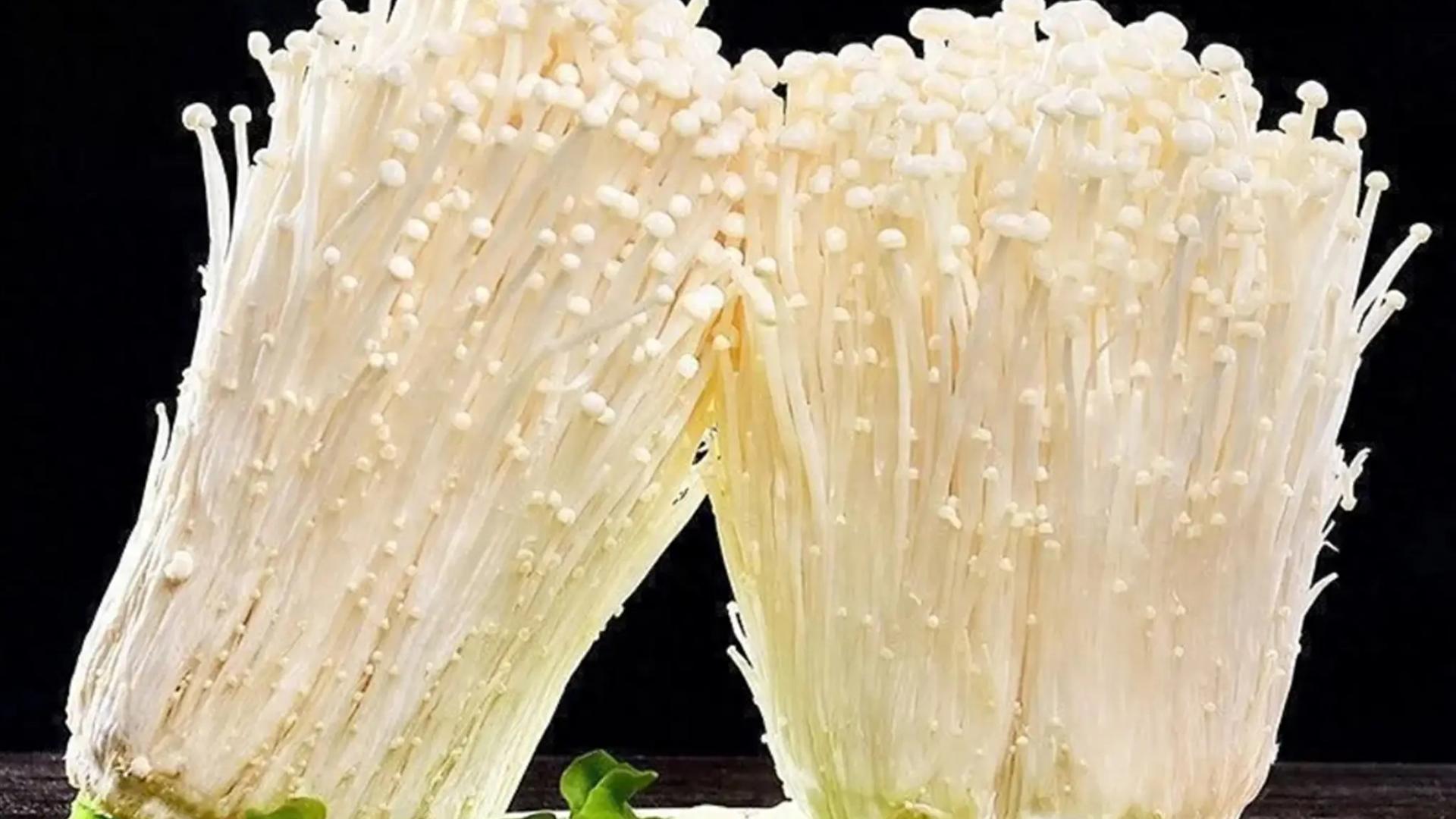 金针菇：从皇家御膳到马桶奇缘的千年逆袭史