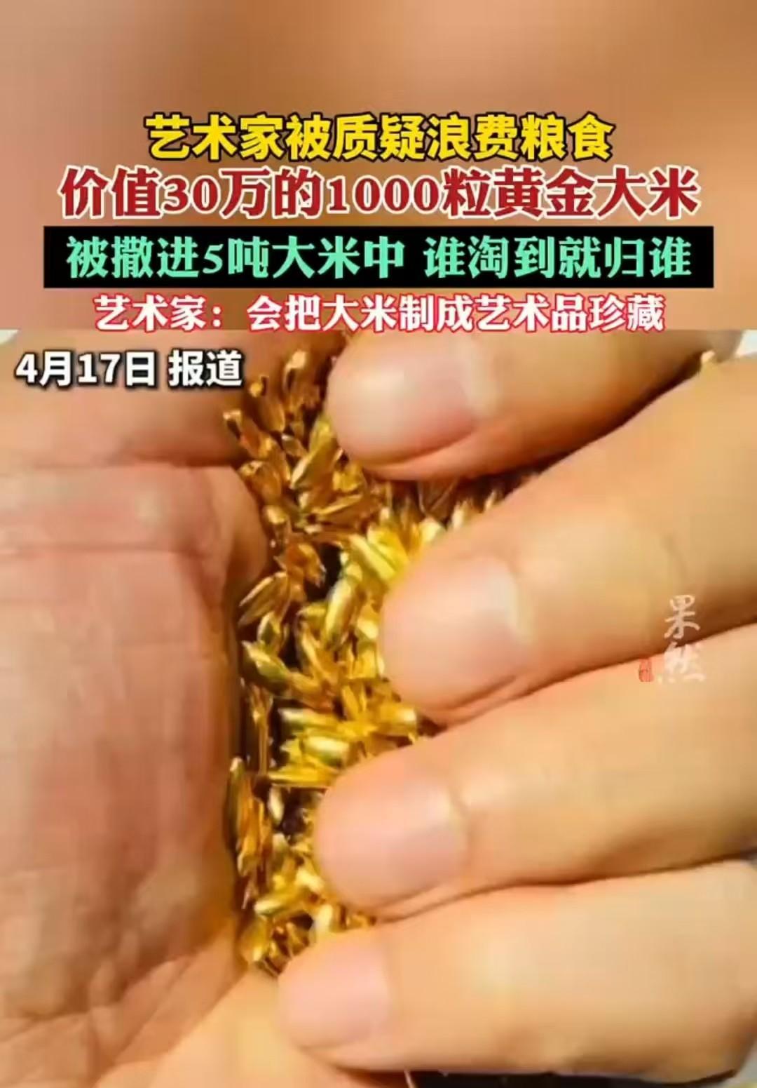北京，杨老将价值30万的黄金打造成1000粒大米，并撒入5吨大米中，让大家进去淘