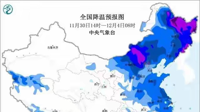 今年冬天两种羽绒服火了，这届年轻人真的很会买