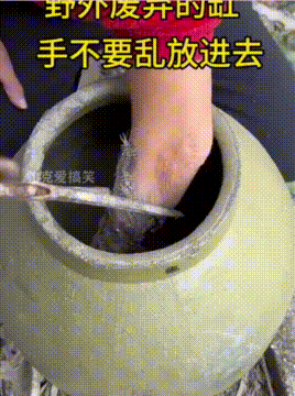 大娘野外发现废弃水缸，以为里面有宝贝，结果被虫子爬满手！