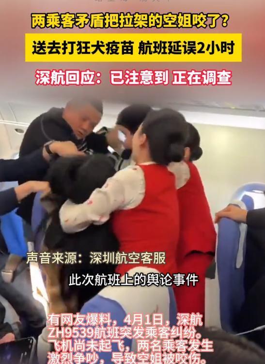 因为对方太臭发生互殴，美女空姐无端受牵连，更有乘客直接心梗送医！4月1日ZH91