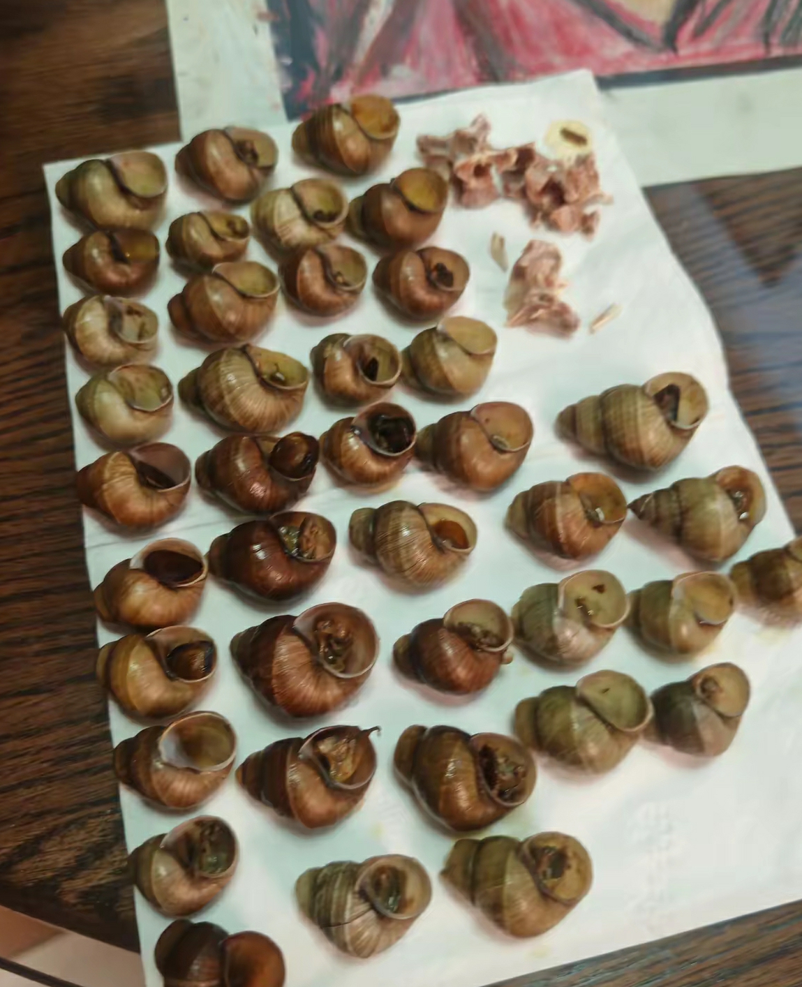 孩子把田螺吃成这样算怎么回事